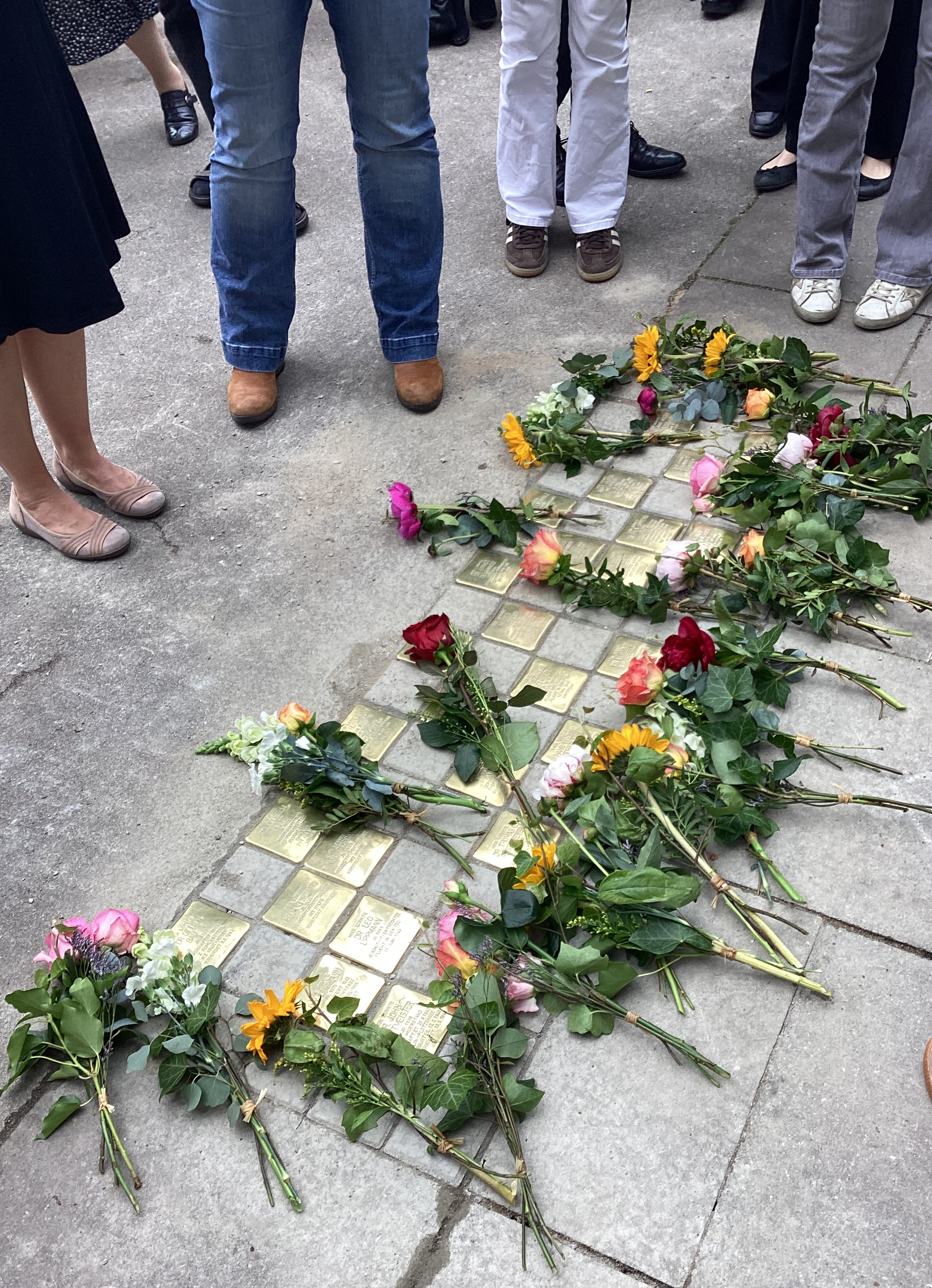 Stolpersteine vor der Gelehrtenschule des Johanneums Stolpersteine vor der Gelehrtenschule des Johanneums